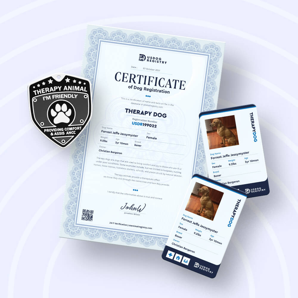 Therapy Dog Kit Basic Registration Kit